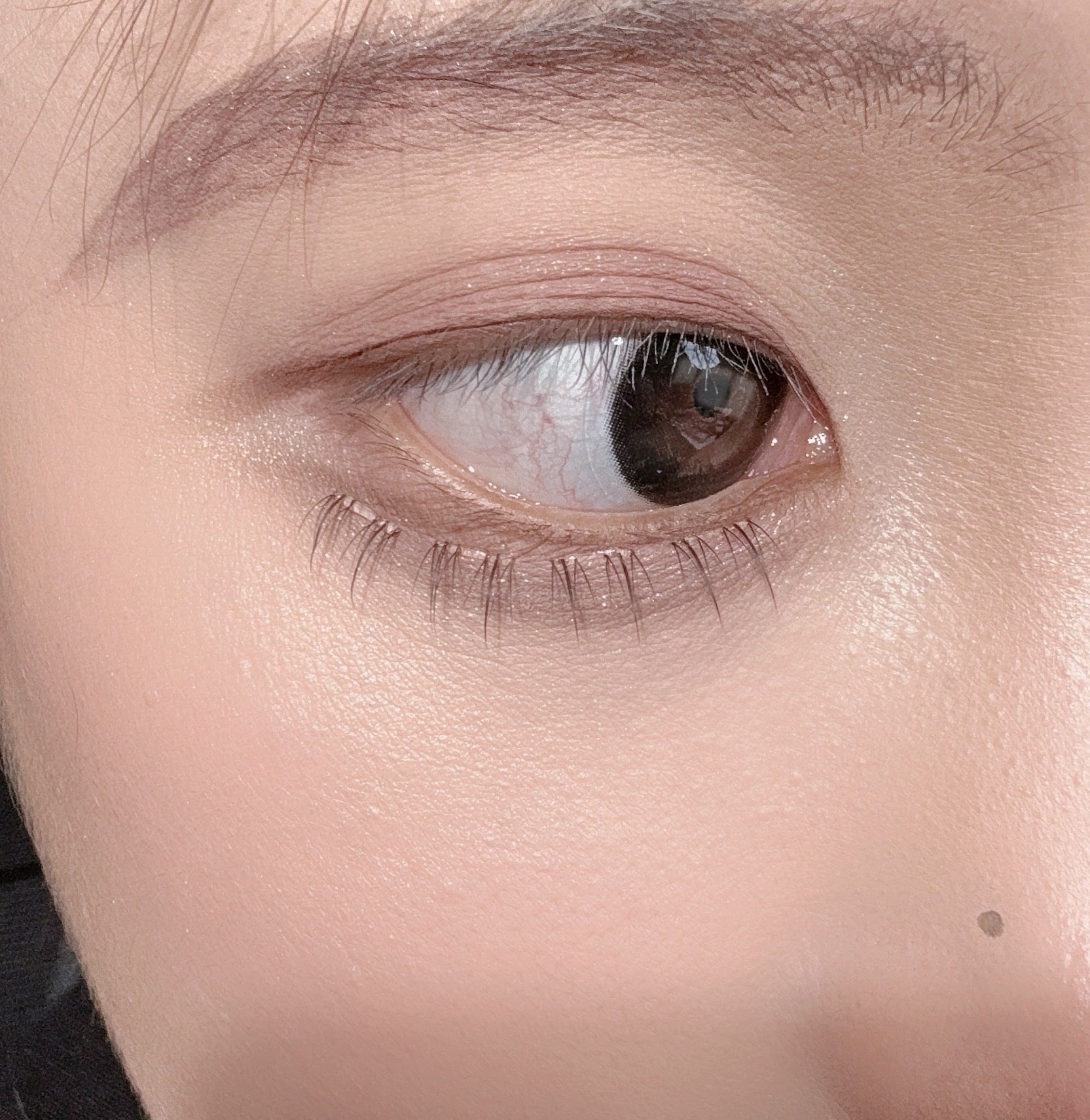 QY-21 Natural Lower Lash Clusters | Pre-Bonded No-Glue Lash Extensions | 6mm C Curl