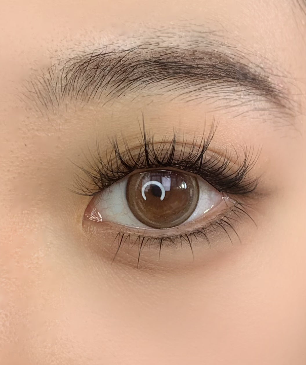 QY-19 “5D Trilogy” Curl-Up Wispy Cluster Lashes | Pre-Bonded No-Glue | 9–12mm