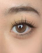 QY-6A “Double-Spike Sunflower” Wispy Cluster Lashes, Pre-Glued Value Pack, C Curl, 9–11mm