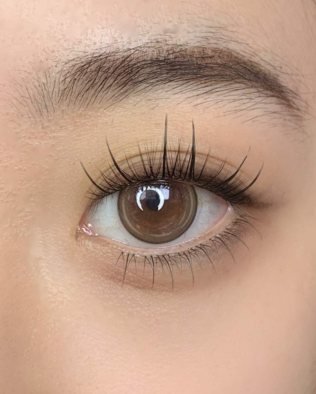 QY-6A “Double-Spike Sunflower” Wispy Cluster Lashes, Pre-Glued Value Pack, C Curl, 9–11mm