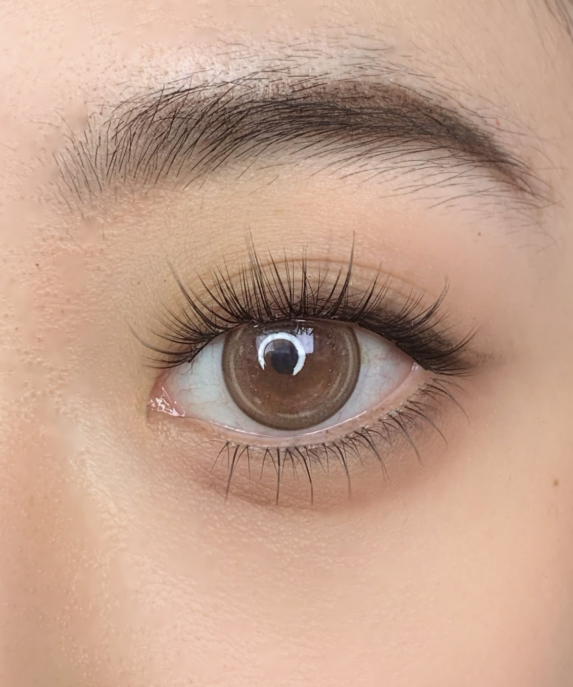 QY-8 “Sunflower” Natural Spiky Wispy Lash Clusters (9–12mm, C Curl)