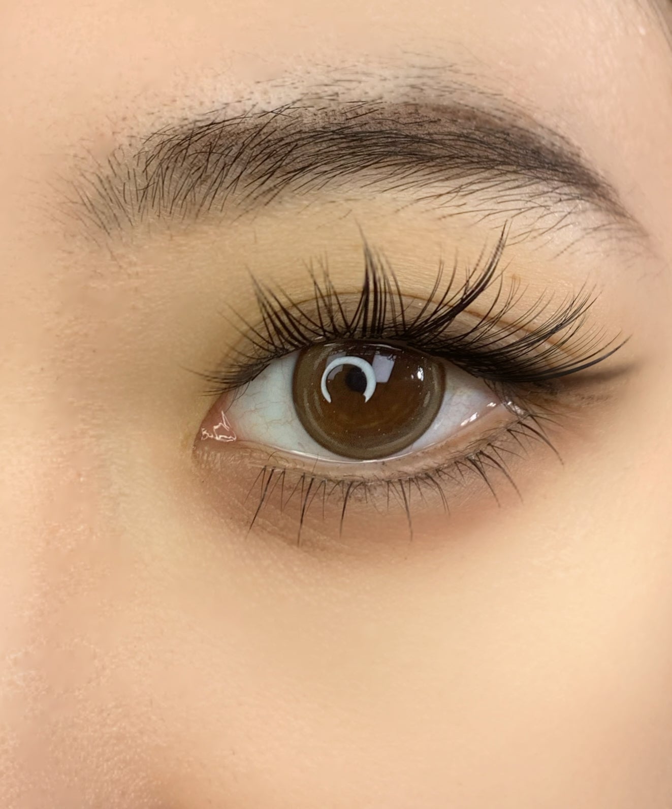 QY-16 “Nine-Tail Bunny” Pre-Glued Cluster Lashes | Elongating Side-Extension Style, C Curl, 9–13mm