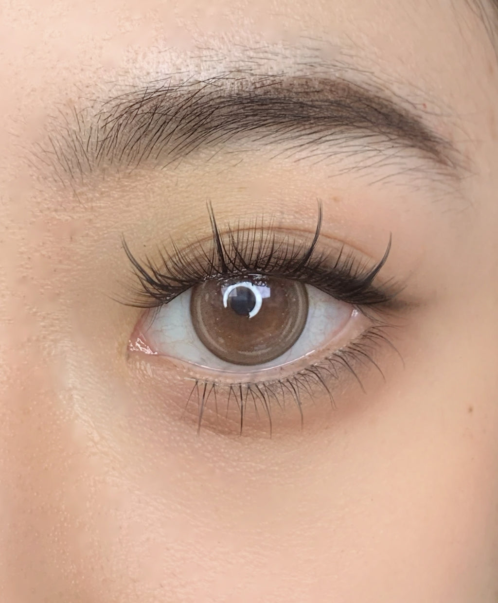 QY-11A “Trilogy” Upgraded Big-Capacity DIY Cluster Lashes | Pre-Applied Adhesive | C Curl | 9–12mm